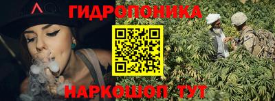 тгк Сочи