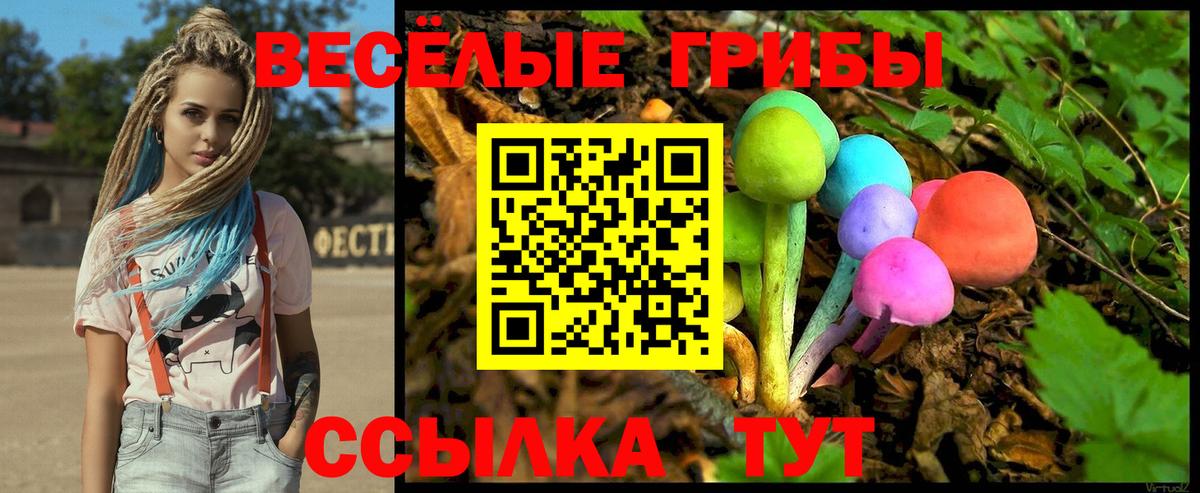 Борзя  Галлюциногенные грибы прущие грибы  Псилоцибиновые грибы GOLDEN TEACHER  Вход с VPN 