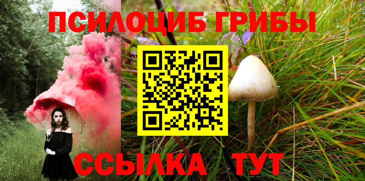 Псилоцибиновые грибы GOLDEN TEACHER Борзя